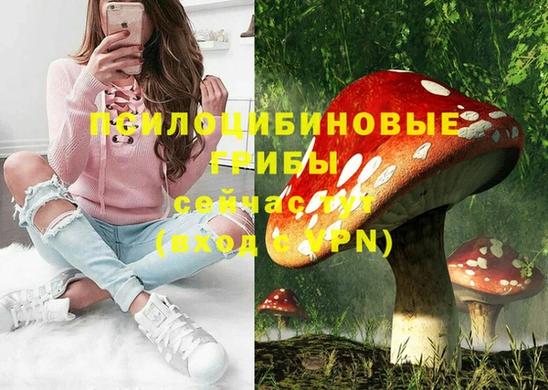 прущая мука Надым